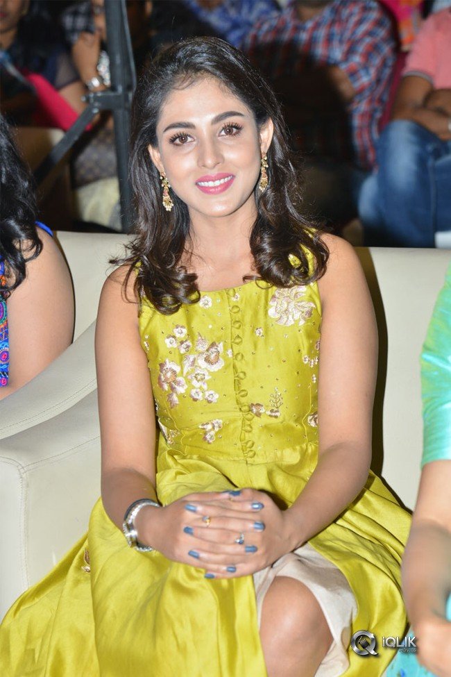 Goodachari-Movie-Pre-Release-Event-Photos
